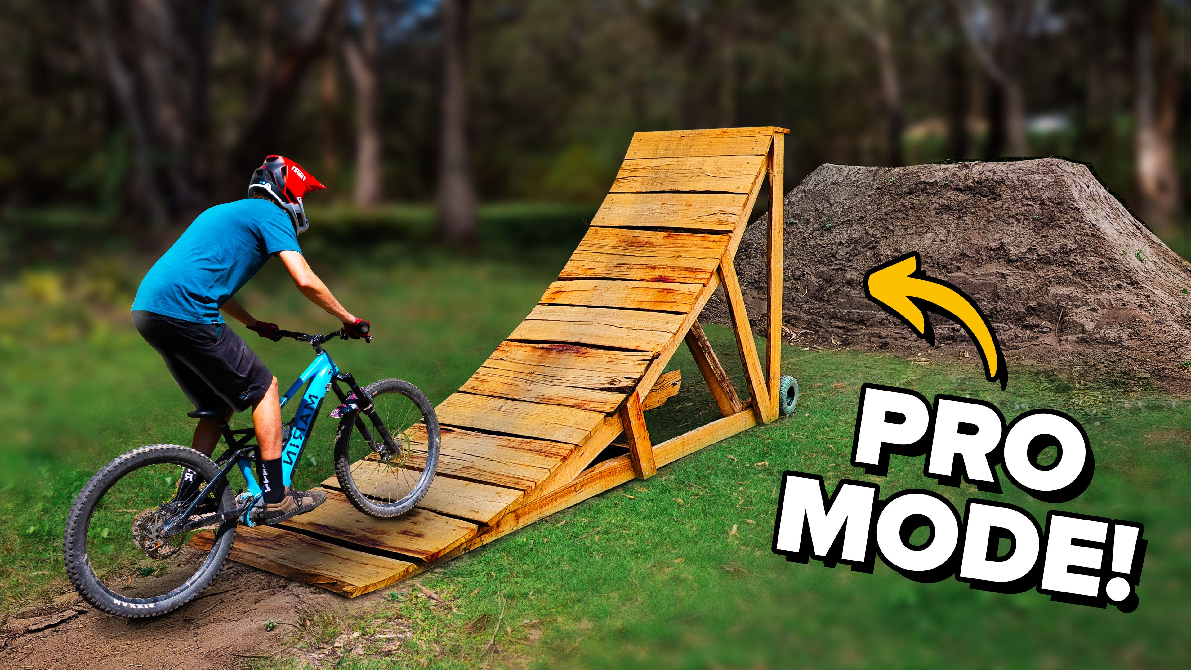 From fallen tree to backyard bike jump!
