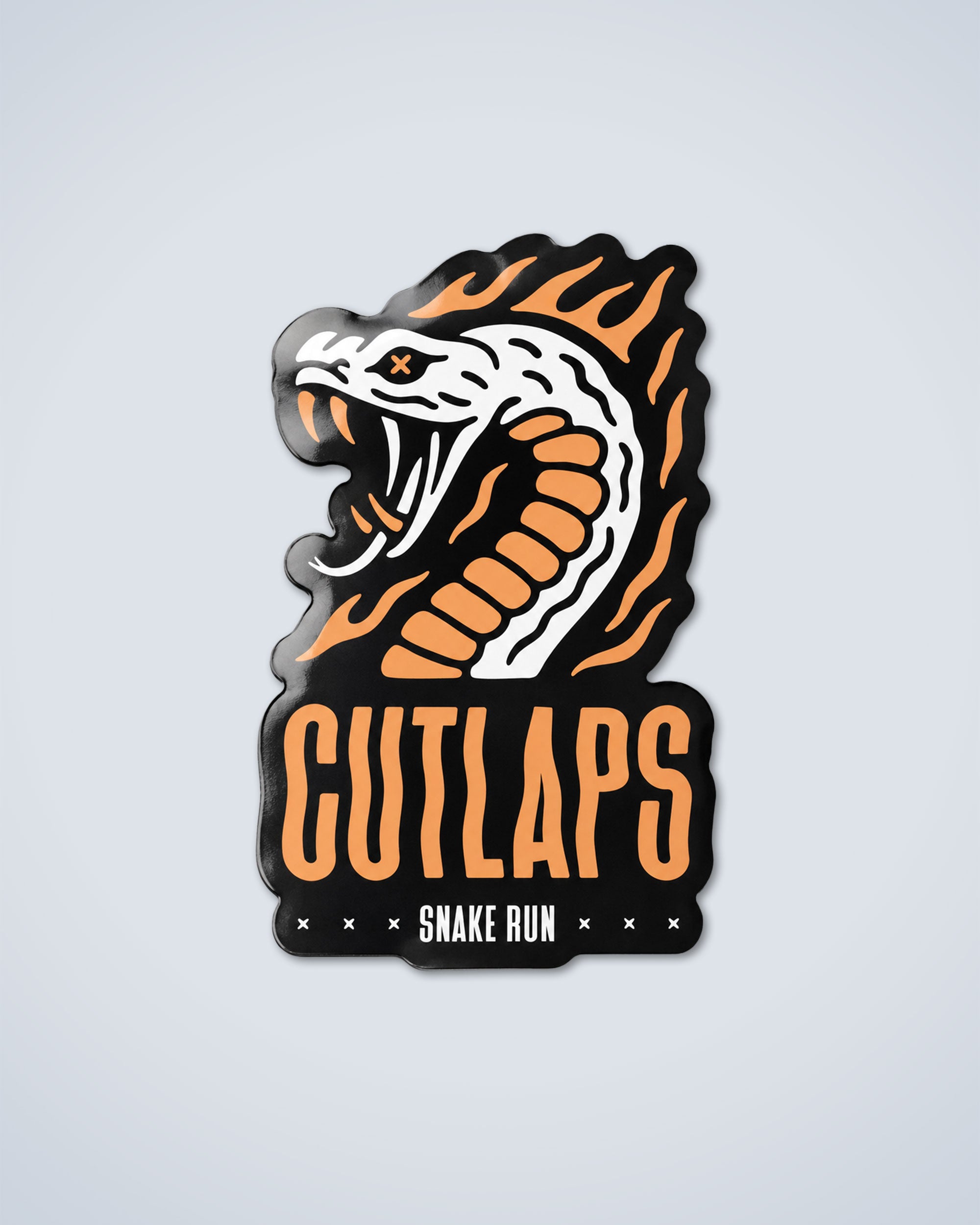 Snake Run Sticker